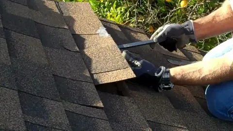Asphalt Shingles Roofing